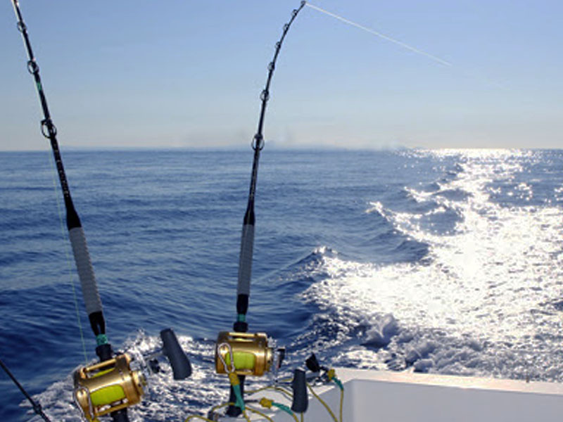 Salida de pesca | Boat Experience | Experiencias en barco